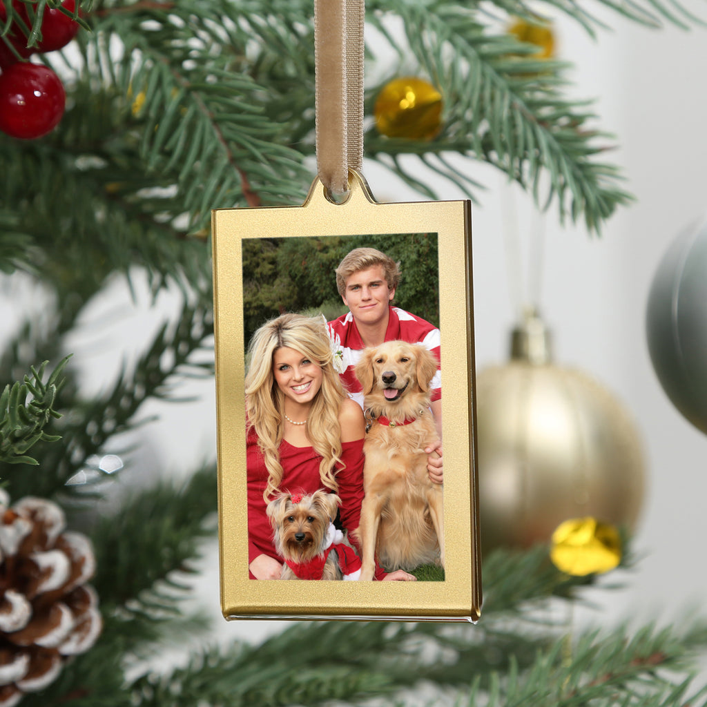 Christmas Photo Acrylic Ornament Frames, 2x3 Inches,8 Pack Gold Frames for Picture,Double-Sided Picture Frames