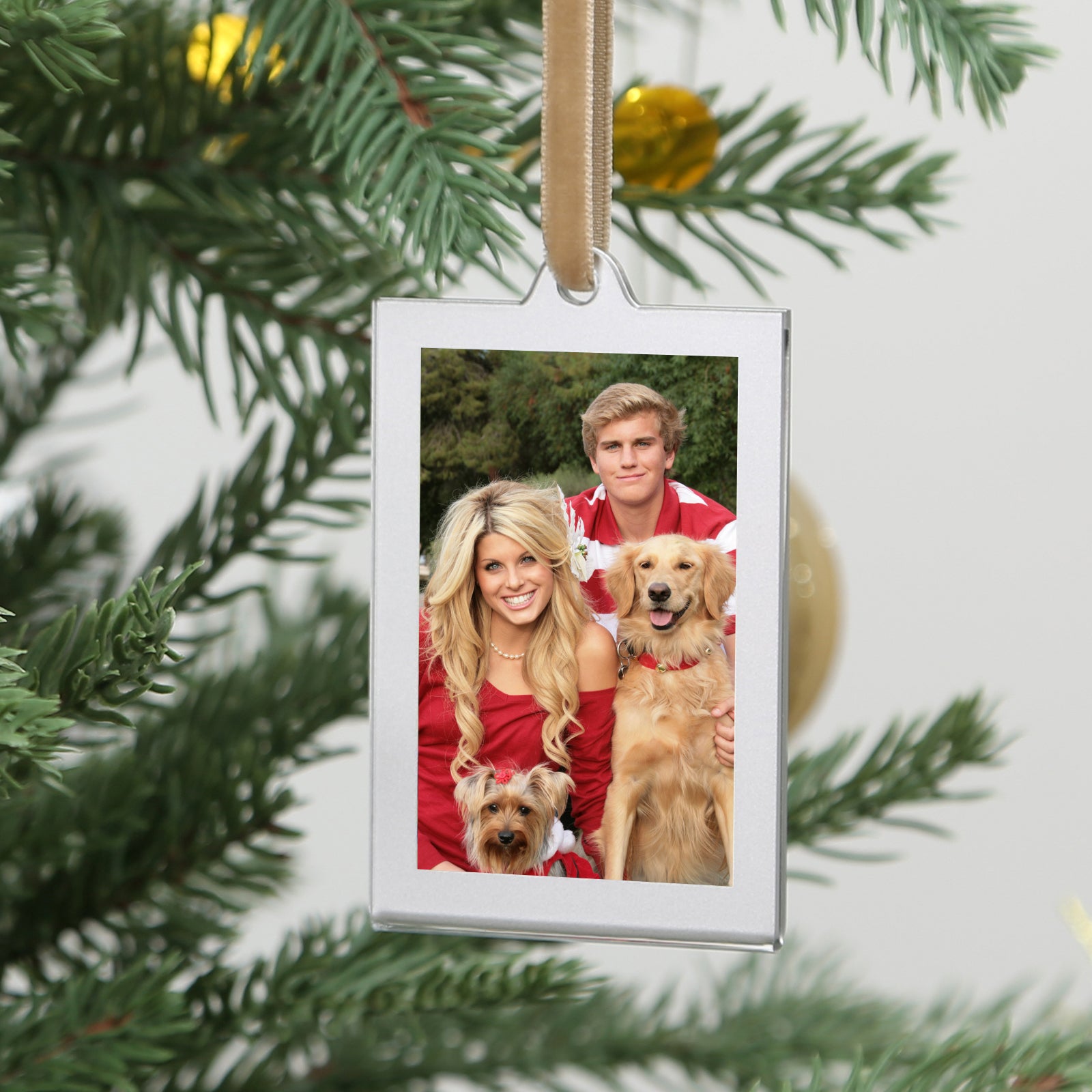 Christmas Photo Acrylic Ornament Frames, 2x3 Inches,8 Pack Silver Frames for Picture,Double-Sided Picture Frames