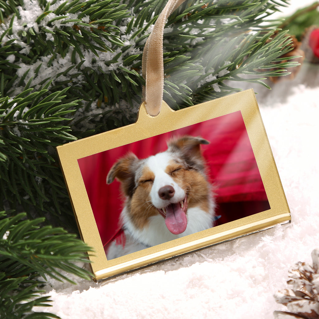 Christmas Photo Acrylic Ornament Frames, 3x2 Inches,8 Pack Gold Frames for Picture,Double-Sided Picture Frames